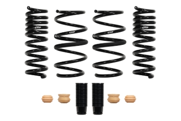 Picture of Pro-Kit Lowering Springs