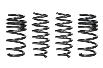Picture of Pro-Kit Lowering Springs