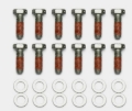Picture of Wilwood Bolt Kit - 5/16-18 x 1.00 LG - 12 pk