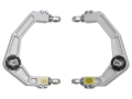 Picture of ICON 2004+ Ford F-150 / 2014+ Ford Expedition Billet Upper Control Arm Delta Joint Kit
