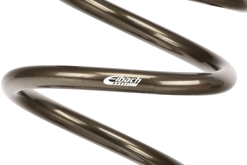 Picture of Individual Race Spring