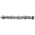 Picture of CAMSHAFT, GM 6.6L DURAMAX, 264 LST R109