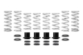 Picture of Eibach Pro-UTV 15-16 Polaris RZR 1000 XP Turbo EPS (2-Seat) Stage 3 Performance Springs