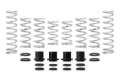 Picture of Eibach Pro-UTV 2017 Polaris XP4 1000 Turbo 4-Seat Stage 3 Performance Spring System