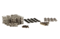 Picture of KIT SPRING, DUAL VALVE FOR GM - TITANIUM RETAINERS 1.900" IH- LS1/LS7-.700" LIFT