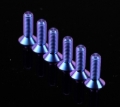 Picture of NRG Titanium Steering Wheel Screw Upgrade Kit (Conical) - Purple