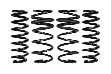 Picture of Pro-Kit Lowering Springs