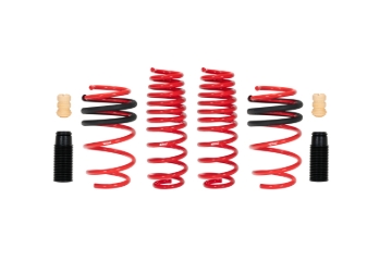 Picture of Sportline Lowering Springs