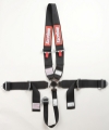 Picture of Racequip RQP 5pt Camlock Seat Belts Seat Belts & Harnesses - 748008