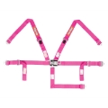 Picture of RaceQuip Pink JR. L & L 5pt Harness
