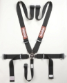 Picture of Racequip RQP 5pt Camlock Seat Belts Seat Belts & Harnesses - 741001
