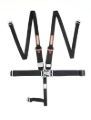 Picture of RaceQuip Black L & L 5pt HNR Seat Belt