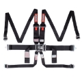 Picture of RaceQuip Black L & L 6pt HNR Seat Belt