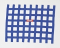 Picture of RaceQuip Blue Ribbon Window Net