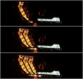 Picture of AlphaRex 10-12 Ford Mustang LUXX LED Proj Headlights Plank Style Chrome w/Activ Light/Seq Signal