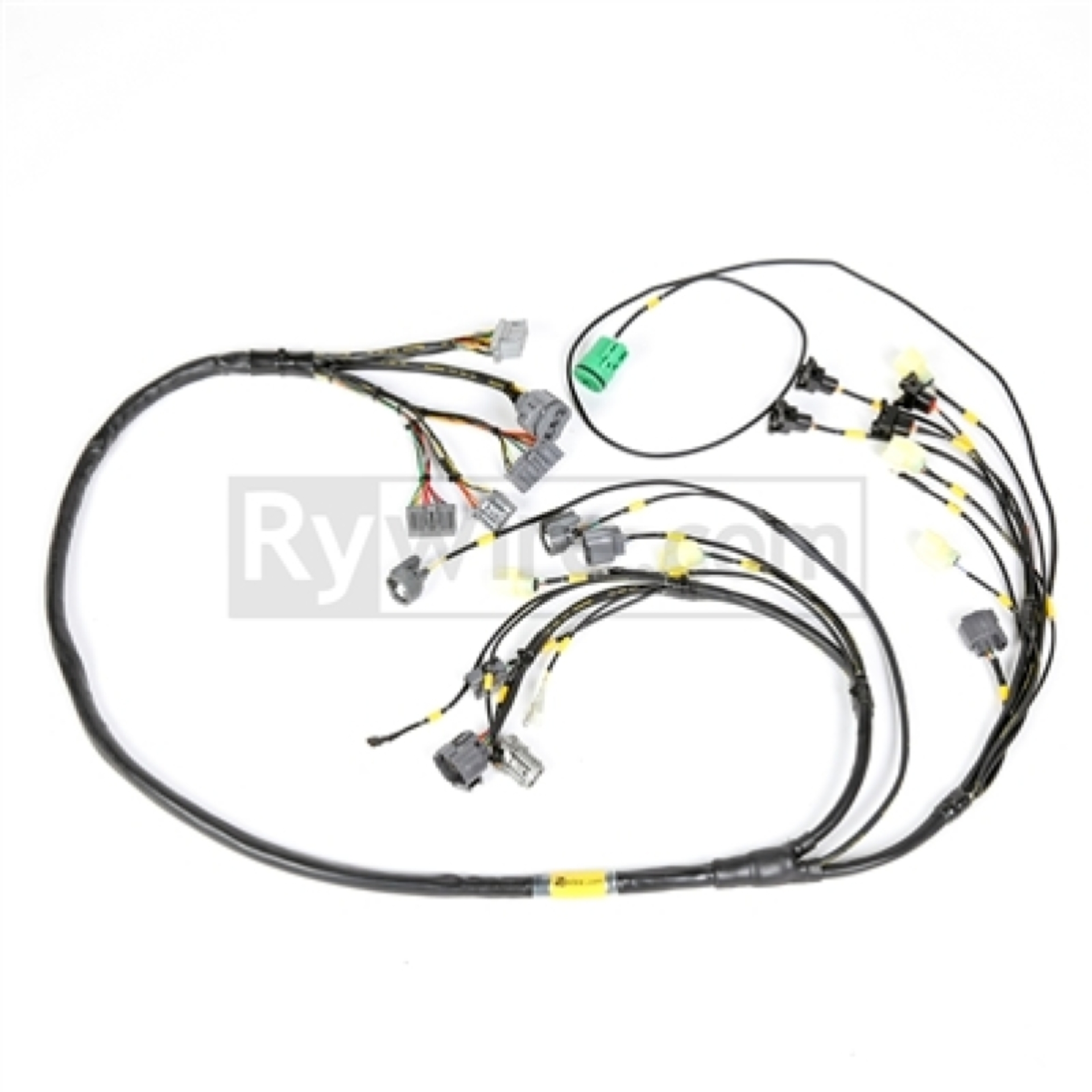 Picture of Rywire Honda F/H Series Engine Harness (OBD2) w/ Quick Disconnect