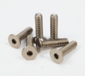 Picture of NRG Titanium Silver Steering Wheel Screw Kit Upgrade- Conical