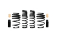 Picture of Pro-Kit Lowering Springs