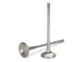Picture of Supertech SPT Exhaust Valves - VWEVI-1044SS-6