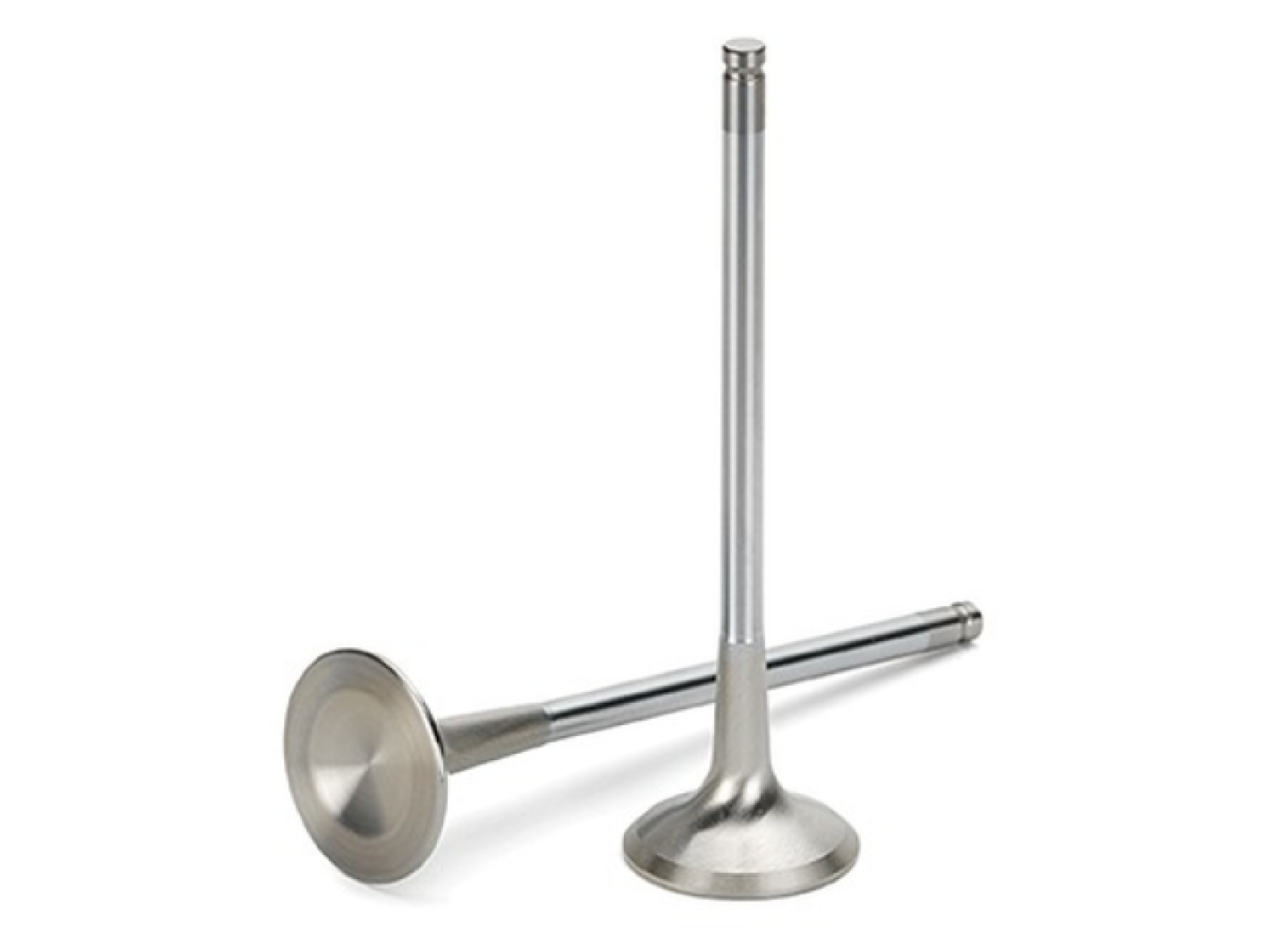 Picture of Supertech SPT Exhaust Valves - VWEVI-1044SS-6