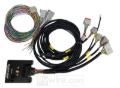 Picture of Rywire P14 PDM Universal Chassis Harness Kit (Req Flying Lead/Switch Panel/CAN/Mate Connector)
