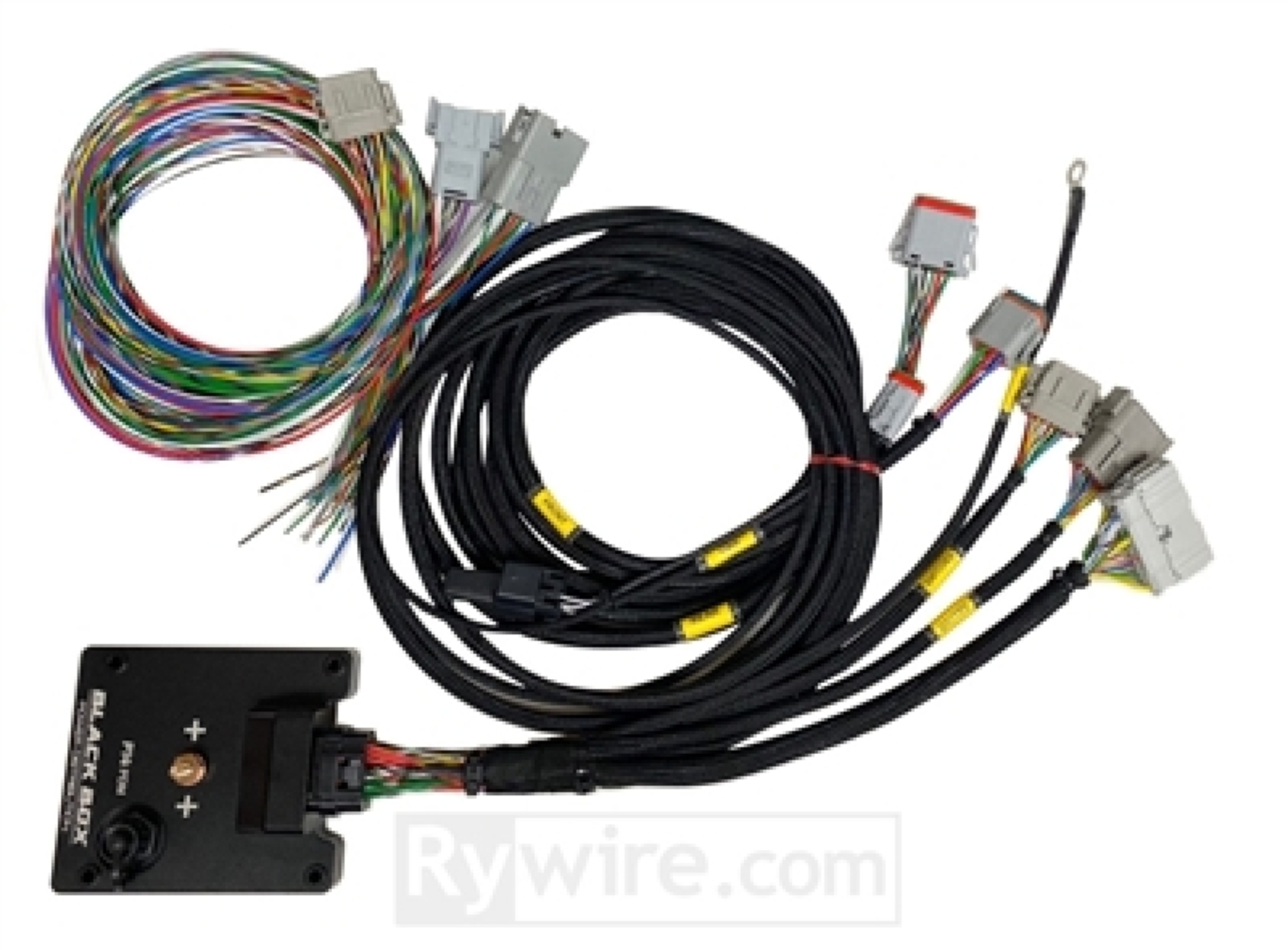 Picture of Rywire P14 PDM Universal Chassis Harness Kit (Req Flying Lead/Switch Panel/CAN/Mate Connector)