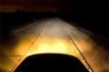 Picture of Putco PUT Halogen HeadLight Bulbs - 230100JY