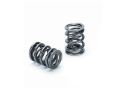 Picture of Supertech SPT Dual Valve Springs Valve Springs, Retainers - SPR-H200DR-16