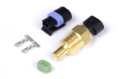Picture of Haltech Coolant Temp Sensor 3/8 NPT 18 TPI (Incl Delphi Plug & Pins)