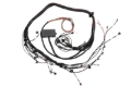 Picture of Haltech Elite 2000/2500 Terminated Engine Harness