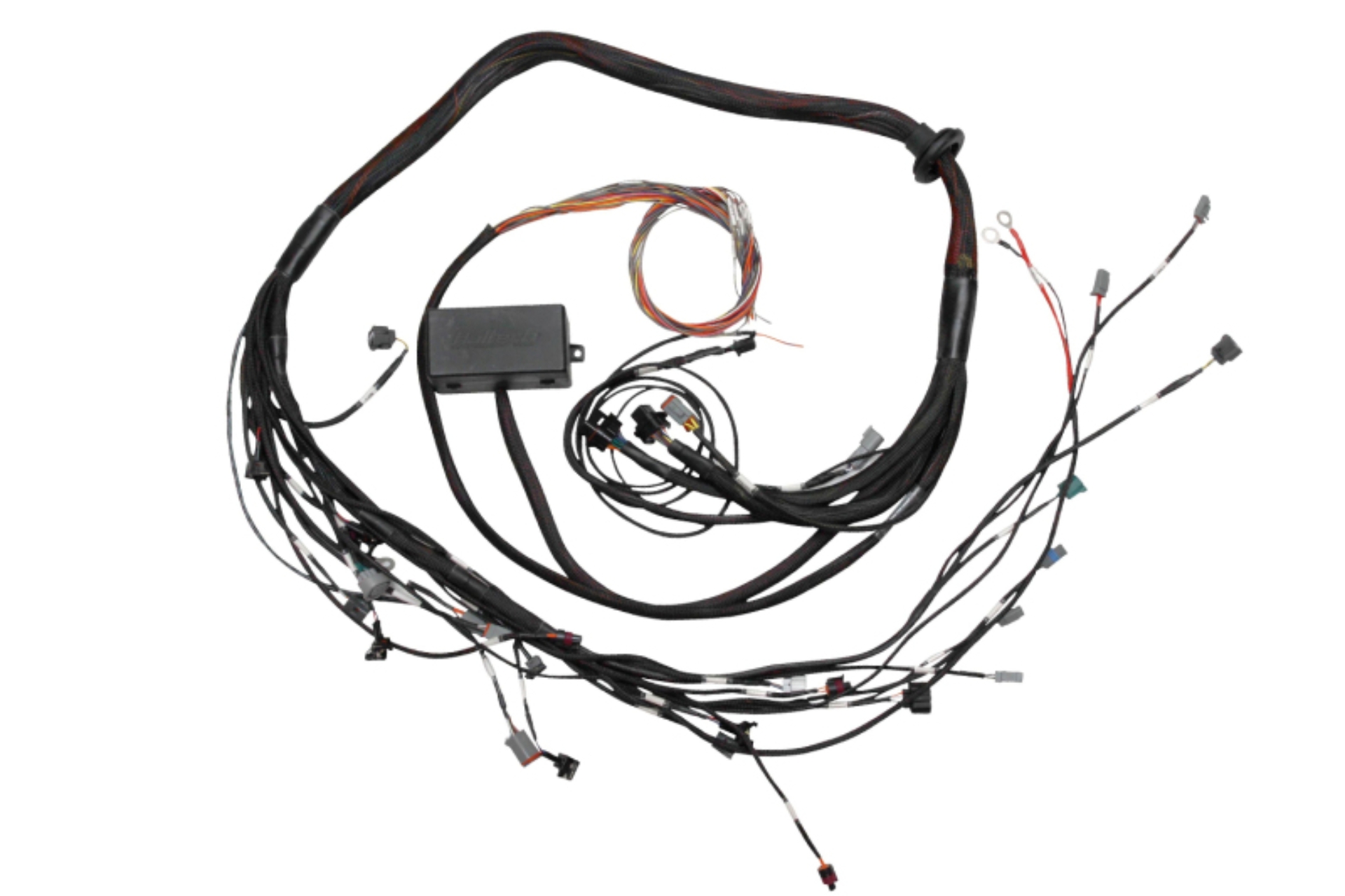 Picture of Haltech Elite 2000/2500 Terminated Engine Harness