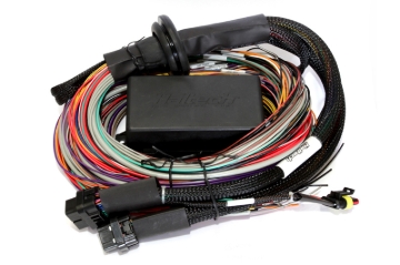 Picture of Haltech Elite 2500/2500 T Premium Universal Wire-In Harness - 2.5m (8ft)