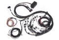 Picture of Haltech Elite 2500 Terminated Harness w/EV1 Injector Connectors