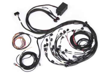 Picture of Haltech Elite 2500 Terminated Harness w/EV1 Injector Connectors