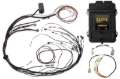 Picture of Haltech Elite 1500 Terminated Harness ECU Kit w/ Square EV1 Injector Connectors