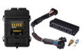 Picture of Haltech Elite 1500 Adaptor Harness ECU Kit