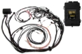 Picture of Haltech Elite 2500 Terminated Harness ECU Kit w/OE Injector Connectors
