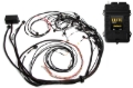 Picture of Haltech Elite 2500 Terminated Harness ECU Kit w/EV1 Injector Connectors