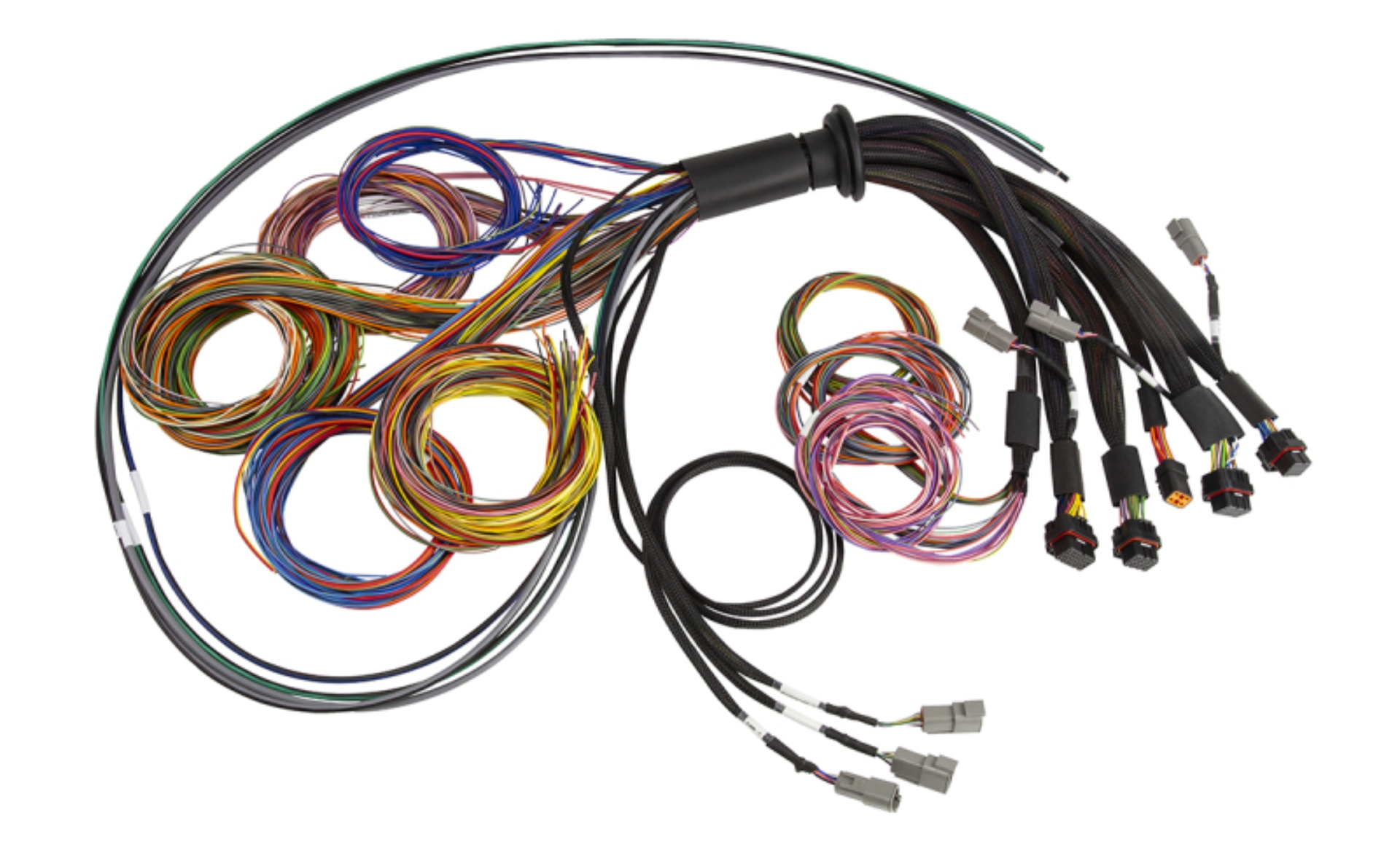 Picture of Haltech NEXUS R5 Universal Wire-In Harness - 2.5M (8ft)
