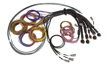 Picture of Haltech NEXUS R5 Universal Wire-In Harness - 2.5M (8ft)
