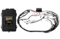 Picture of Haltech Elite 2500 Terminated Harness ECU Kit w/EV1 Injector Connectors