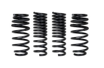 Picture of Pro-Kit Lowering Springs