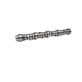 Picture of CAMSHAFT, FORD POWER STROKE DI ESEL 6.0/6.4L PS 251NSR R107