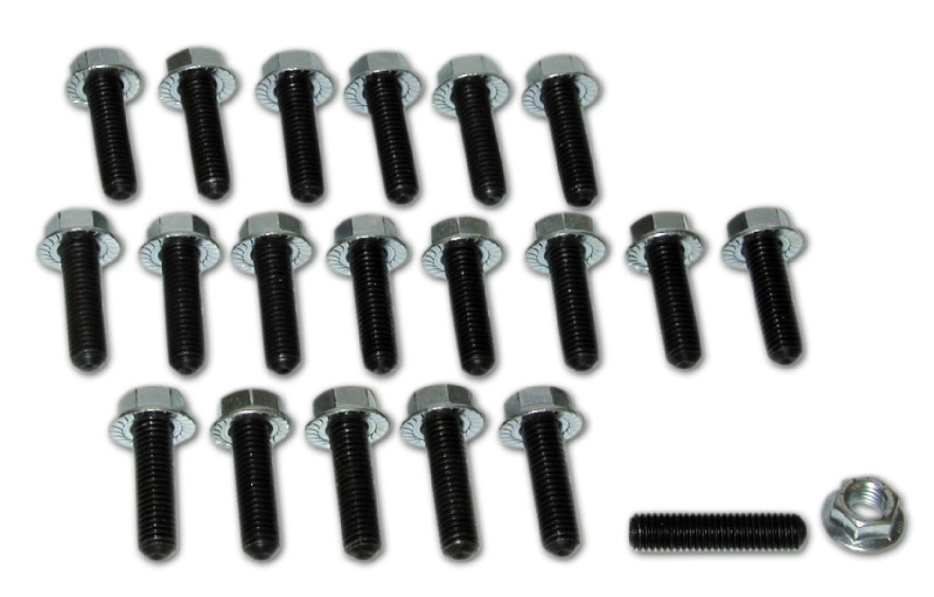 Picture of Moroso Toyota 2TC/3TC/2TG/3TG Oil Pan Stud Kit - 8mm - Steel - Set of 20
