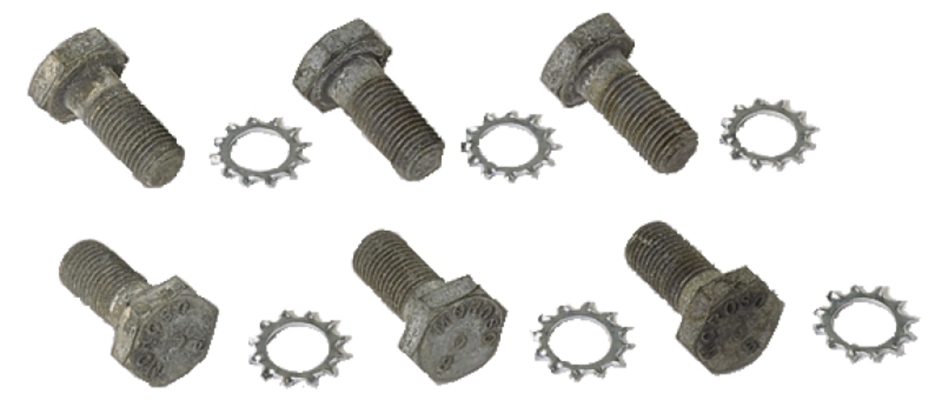 Picture of Moroso MOR Bolts - 38755