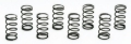 Picture of Moroso Valve Checking Springs