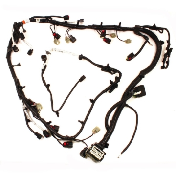 Picture of Ford Racing 5.0L Coyote Engine Harness