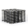 Picture of Skunk2 Alpha Series Honda D Series VTEC Valve Spring Set