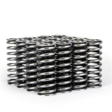 Picture of Skunk2 Alpha Series Honda D Series VTEC Valve Spring Set