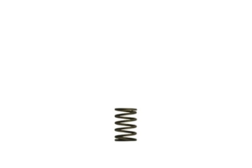 Picture of Turbosmart Gen-V WG38/40 3psi Black Inner Spring